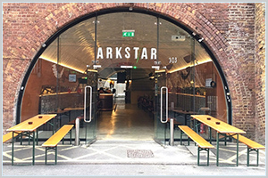 The Arkstar