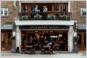 The Mulberry Bush